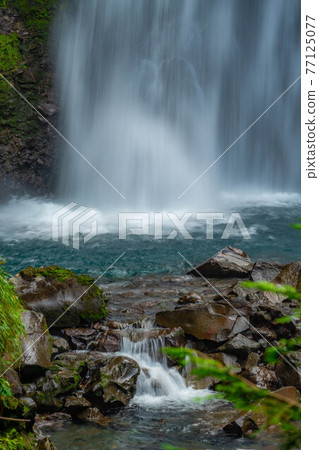 夏天在乘鞍高原的曾五郎野瀑布[長野縣] 77125077