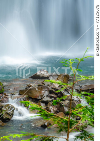 夏天在乘鞍高原的曾五郎野瀑布[長野縣] 77125078