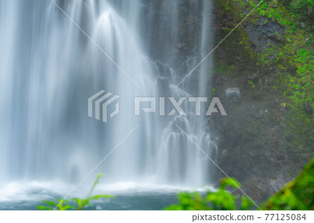 夏天在乘鞍高原的曾五郎野瀑布[長野縣] 77125084