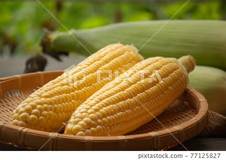 Corn on a colander Corn on a colander 77125827