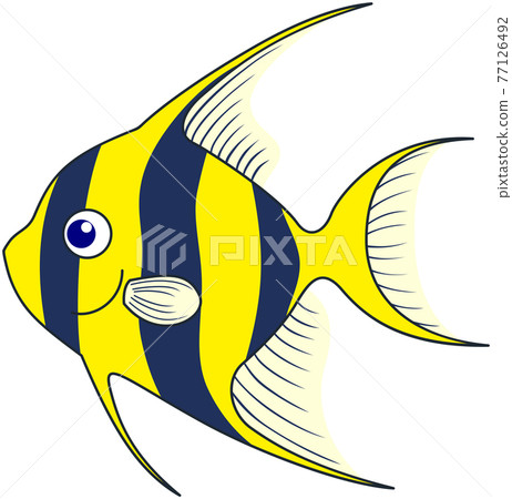 Angelfish illustration 77126492