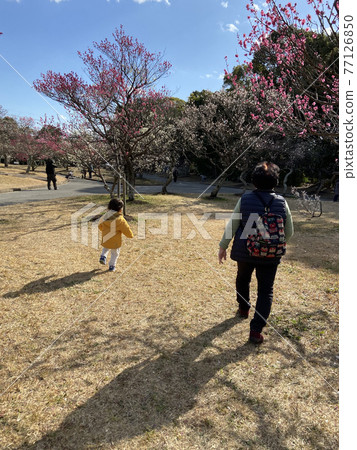 Grandma, great-grandson and plum 2 Grandma, great-grandson and plum 2 77126850
