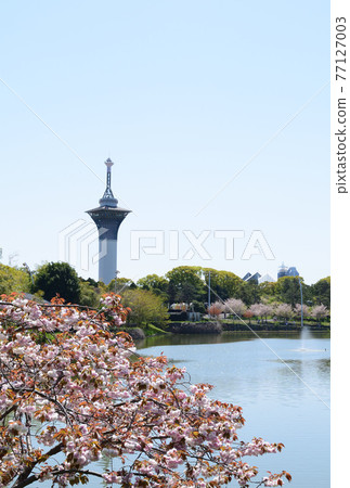 鶴見綠地公園池塘展望台 77127003