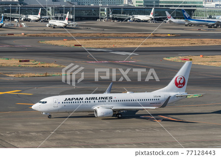 [JAL aircraft taxiing at Haneda Airport Terminal 1] 77128443