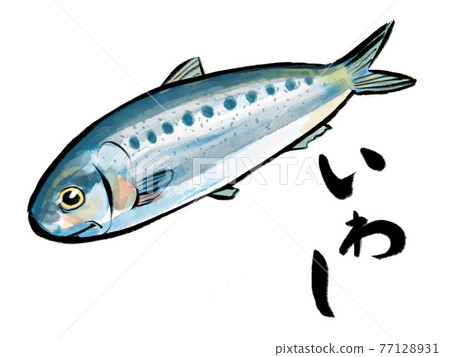 水彩風格的沙丁魚和毛筆字母 水彩風格的沙丁魚和毛筆字母 77128931
