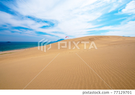 在鳥取沙丘徒步旅行的圖片 77129701