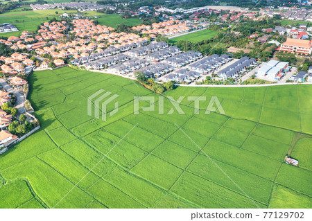 Land or landscape of green field in aerial view for sale or investment. 77129702