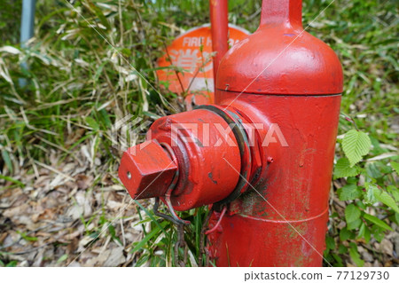 Fire hydrant Fire hydrant 77129730