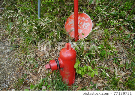 Fire hydrant Fire hydrant 77129731