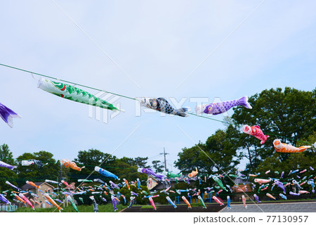 Carp streamer May image Dragon Boat Festival Carp streamer May image Dragon Boat Festival 77130957