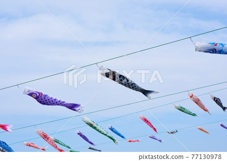 Carp streamer May image Dragon Boat Festival 77130978
