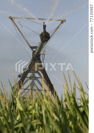 Irrigation pivot, with water or chemigation, fed by pipeline, example of agricultural machinery and agro-industrial infrastructures in crop fields in Aragon. Irrigation pivot, with water or chemigation, fed by pipeline, example of agricultural machinery and agro-industrial infrastructures in crop fields in Aragon. 77130987
