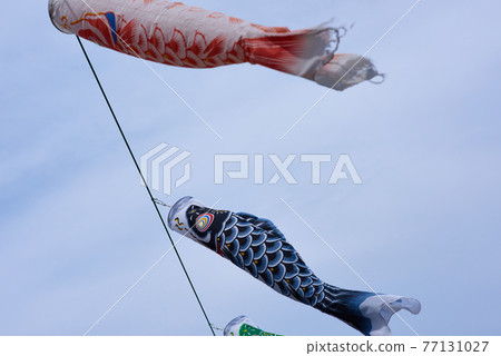 Carp streamer May image Dragon Boat Festival Carp streamer May image Dragon Boat Festival 77131027