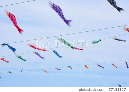 Carp streamer May image Dragon Boat Festival 77131127