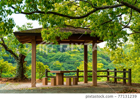 山中的山間小屋，休息的有蓋長凳 77131239