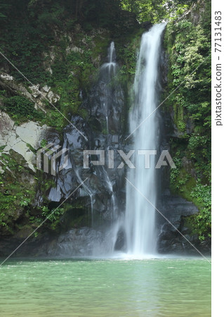 Hakodate waterfall Hakodate waterfall 77131483
