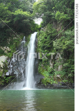 Hakodate waterfall Hakodate waterfall 77131488