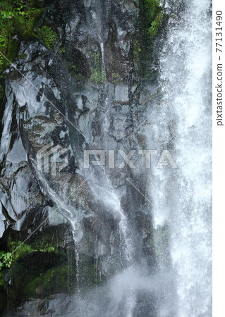 Hakodate waterfall Hakodate waterfall 77131490