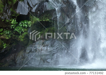 Hakodate waterfall Hakodate waterfall 77131492