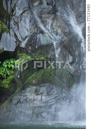 Hakodate waterfall Hakodate waterfall 77131493