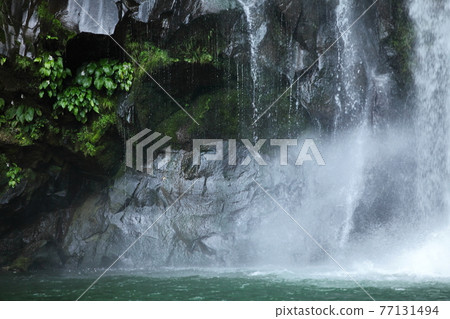 Hakodate waterfall 77131494