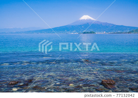 (Shizuoka Prefecture) Mt. Fuji over Suruga Bay seen from the coast of Izu 77132042