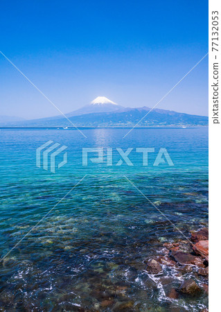 (Shizuoka Prefecture) Mt. Fuji over Suruga Bay seen from the coast of Izu 77132053