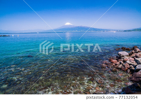 (Shizuoka Prefecture) Mt. Fuji over Suruga Bay seen from the coast of Izu 77132054