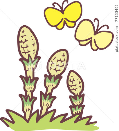 horsetail, vector, vectors 77133492