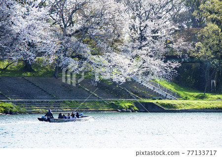 岡崎城堡下城堡遊戲 岡崎城堡下城堡遊戲 77133717