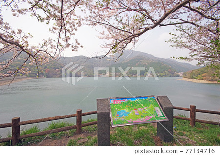 山口縣下關市市民休閒之所——深坂自然森林 77134716