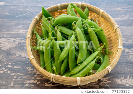 Morning snap pea Morning snap pea 77135552