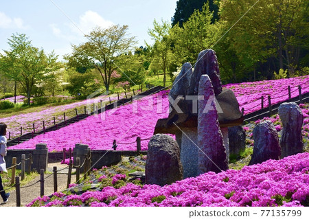 Fresh green of Spashland Shiroishi Fresh green of Spashland Shiroishi 77135799