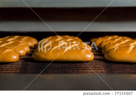 Loaves of bread on the production line in the bakery. Loaves of bread on the production line in the bakery. 77135887