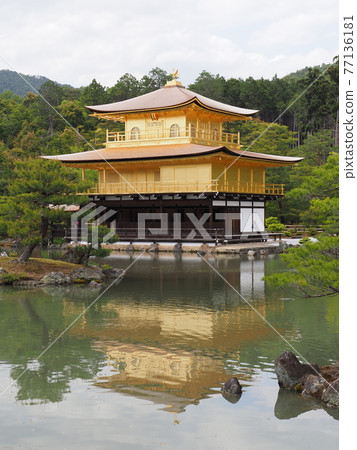 春天的茅草屋頂金閣寺 春天的茅草屋頂金閣寺 77136181