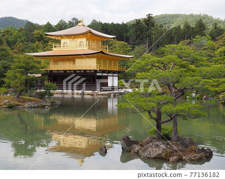 春天的茅草屋頂金閣寺 春天的茅草屋頂金閣寺 77136182