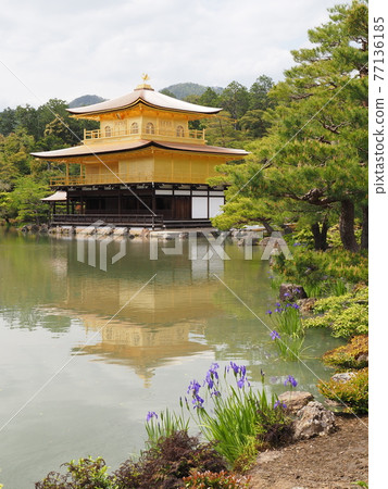 春天的茅草屋頂金閣寺 春天的茅草屋頂金閣寺 77136185
