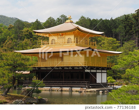 春天的茅草屋頂金閣寺 春天的茅草屋頂金閣寺 77136188