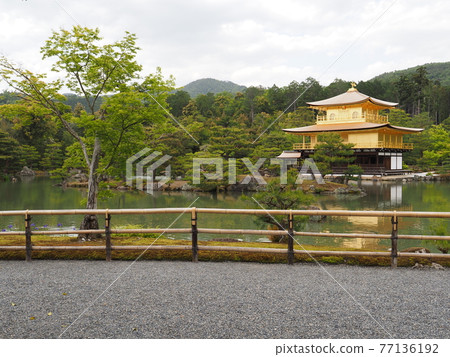 春天的茅草屋頂金閣寺 春天的茅草屋頂金閣寺 77136192