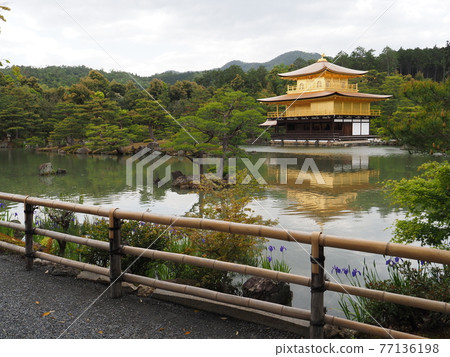 Spring Kinkakuji Temple with a thatched roof Spring Kinkakuji Temple with a thatched roof 77136198