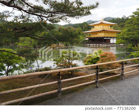 春天的茅草屋頂金閣寺 春天的茅草屋頂金閣寺 77136200
