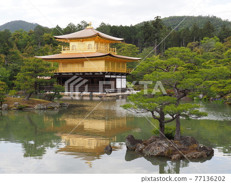 春天的茅草屋頂金閣寺 春天的茅草屋頂金閣寺 77136202