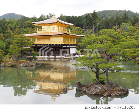 春天的茅草屋頂金閣寺 春天的茅草屋頂金閣寺 77136203