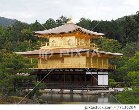 春天的茅草屋頂金閣寺 春天的茅草屋頂金閣寺 77136204