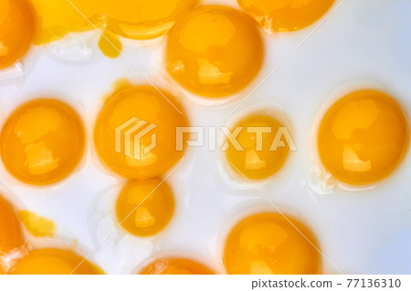 Close-up yellow yolks on white background. 77136310