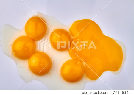 Chicken egg yolks on white background. 77136343