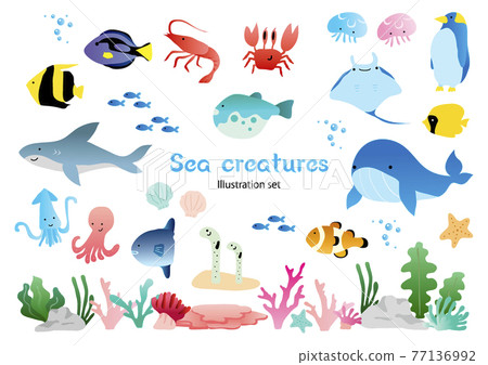 Sea creatures set 77136992