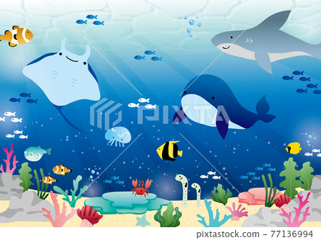 Sea frame Sea frame 77136994