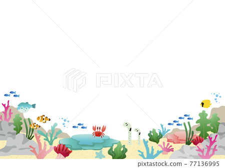 Sea frame 77136995