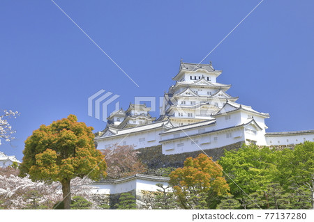 View of Himeji Castle from Sannomaru Square ③ 77137280